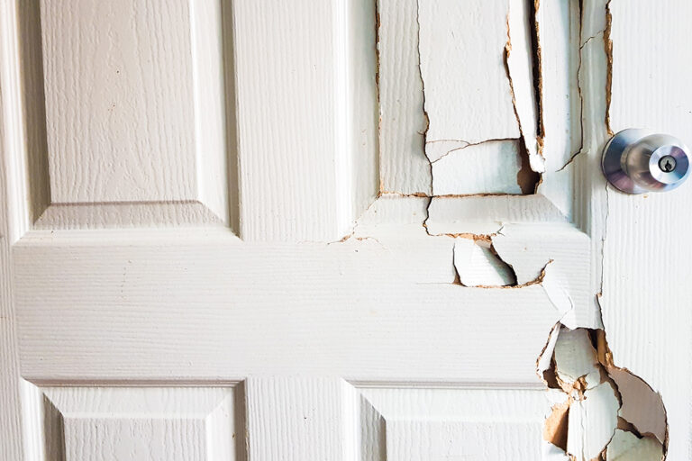 Choosing the Right Front Door